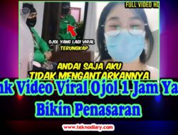 Link Video Viral Ojol 1 Jam Yang Bikin Penasaran