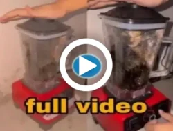 Full Video Kucing Viral Di Blender, Ngeri Banget!