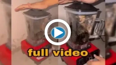 Full Video Kucing Viral Di Blender, Ngeri Banget!