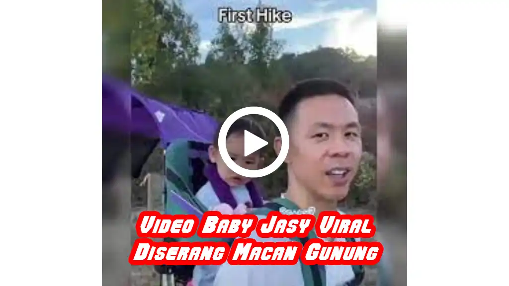 Video Baby Jasy Viral Diserang Macan Gunung